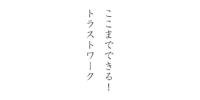 MV画像「ここまでできるトラストワーク」