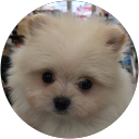 ここせな ここせな